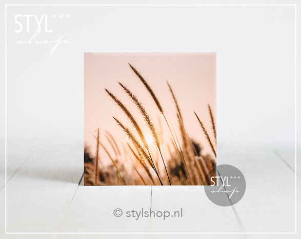 tegel cadeau natuur veld bloemen woondecoratie uniek wit natuur